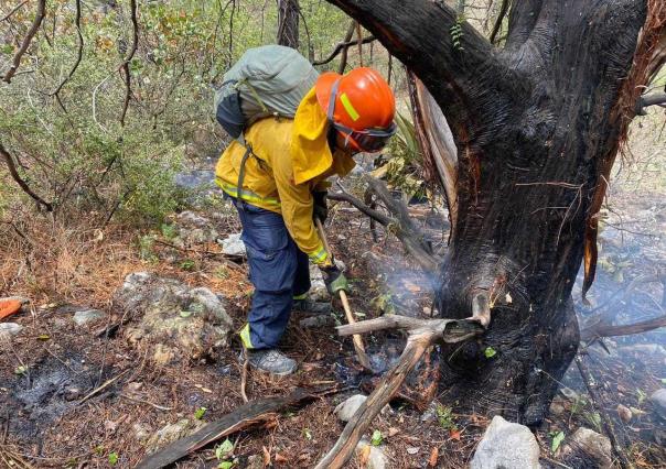 Combate Protección Civil de Nuevo León 3 incendios forestales activos