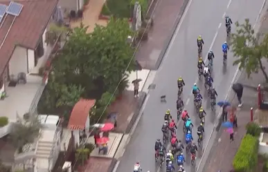 Cae campeón mundial de ciclismo por culpa de un perro en Italia