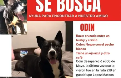 Buscan a Odin por todo Nuevo León