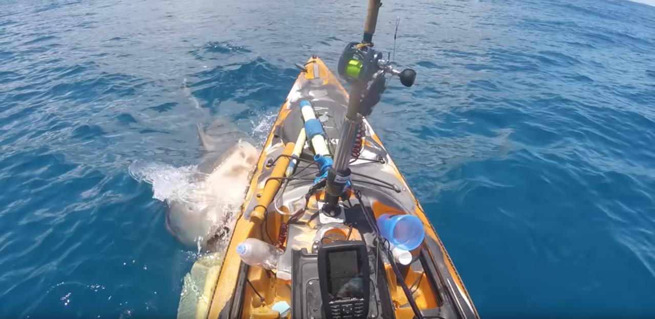 En las imágenes se apreciael momenton en el que se le abalanzó un enorme tiburón y mordió el kayak por un costado. Foto: Captura de pantalla