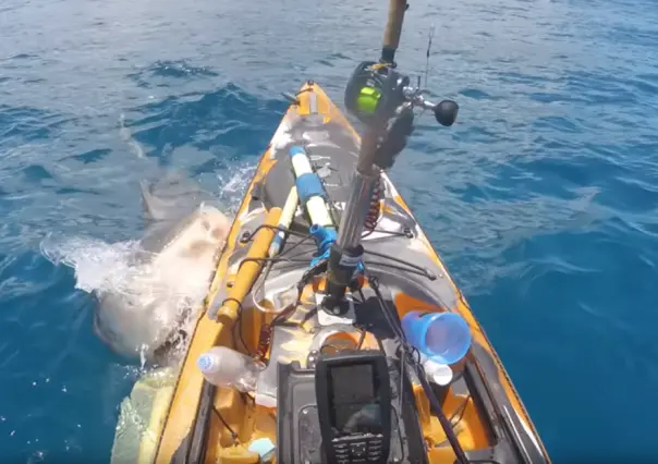 ¡Que miedo! Tiburón ataca kayak de pescador en costas de Hawái