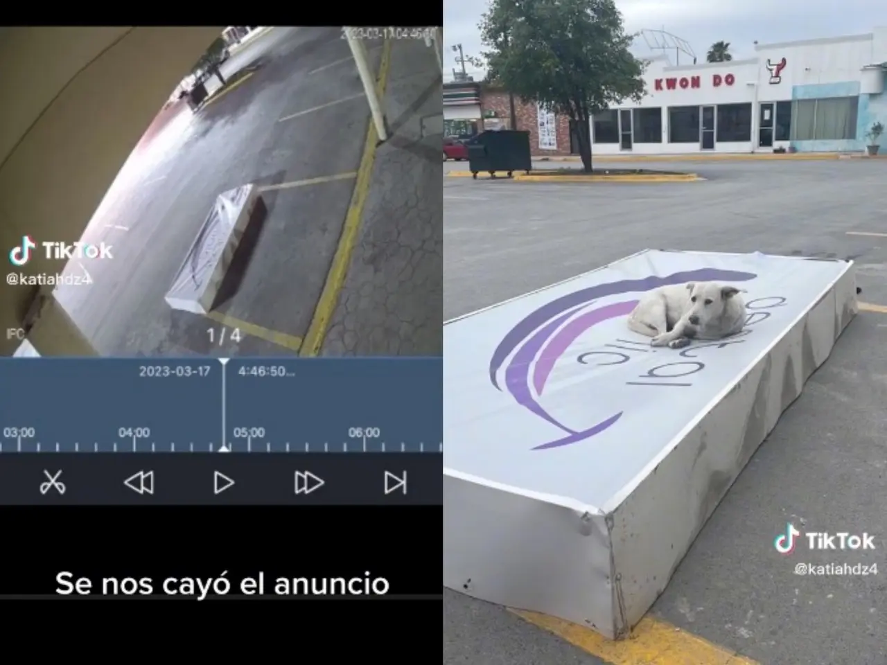 Todo quedó grabado por cámaras de seguridad y el video ha obtenido más de 93 mil likes. Foto: Tiktok.