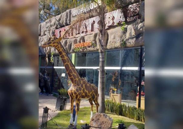 Denuncian zoológico Sahuatoba en condiciones deplorables