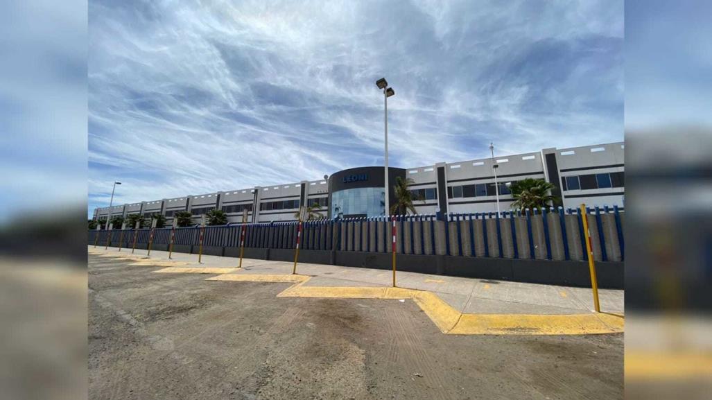 Reportan serios problemas de adicción en trabajadores de la industria maquilera