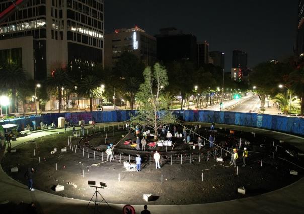 Plantan nuevo ahuehuete en Paseo de la Reforma