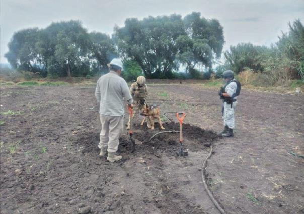 Localiza Guardia Nacional 13 tomas clandestinas en Hidalgo