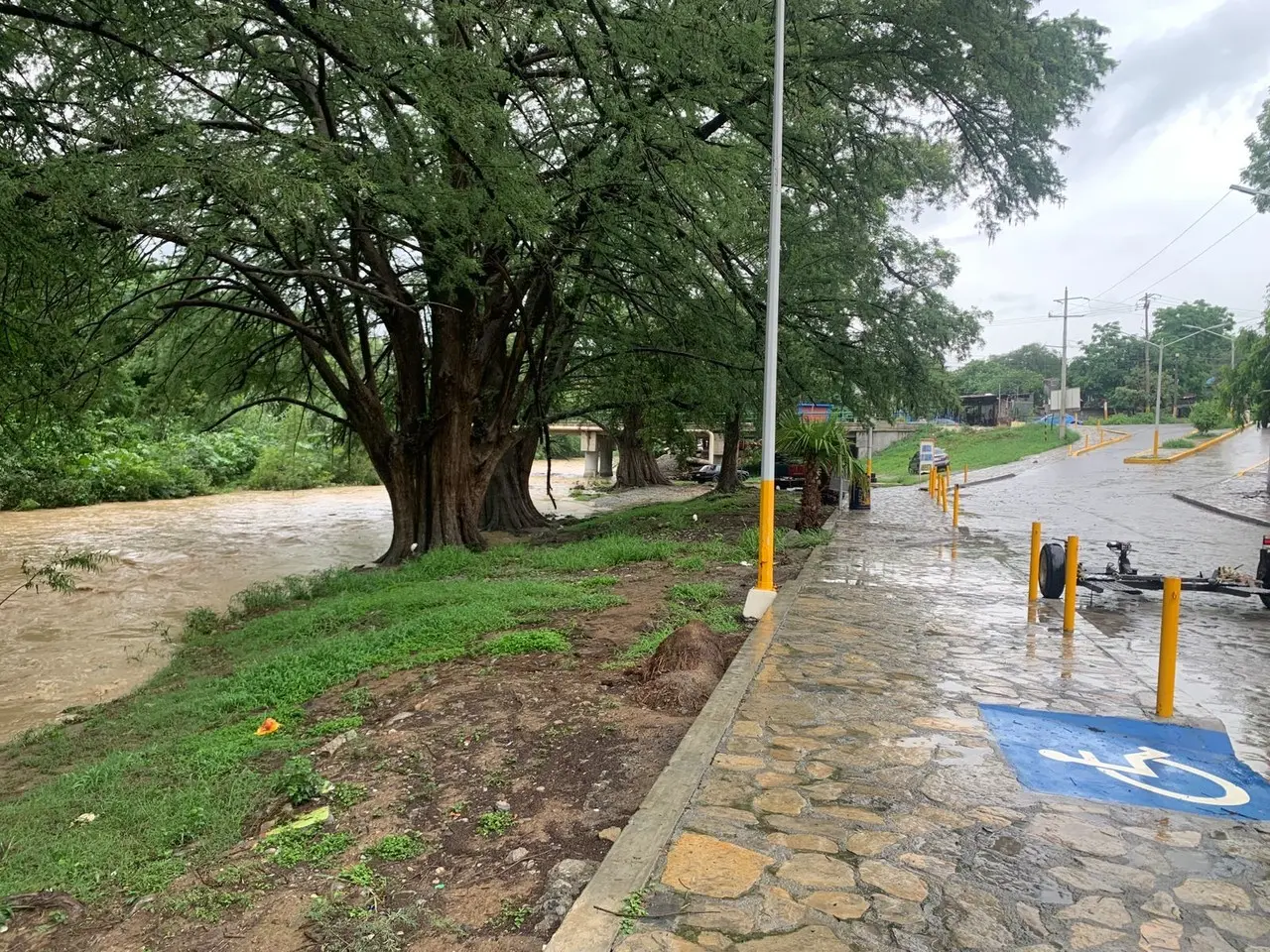 Lluvias en área metropolitana dejan vehículos varados y un menor rescatado