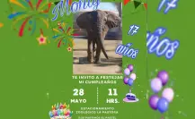 ¡Invitan a festejar a Monty en La Pastora!