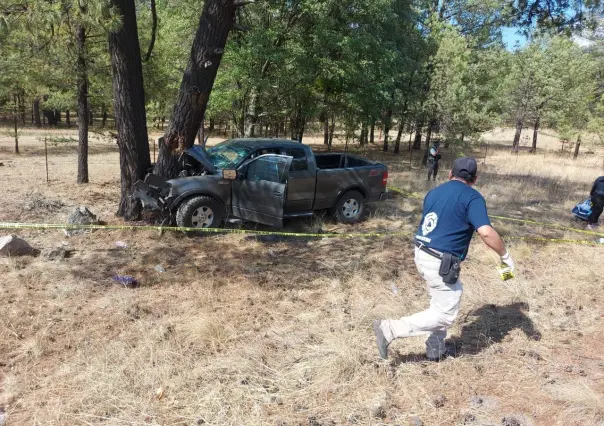 Mueren bebé, mamá y abuelito al chocar contra árbol junto a carretera a Mazatlán