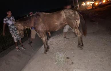 Muere hombre al ser impactado por auto cuando iba en su carreta