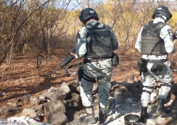 Desmantela Guardia Nacional narco campamento en Zacatecas