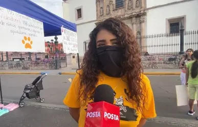 Activistas protestan contra el maltrato animal y cierran avenida en Durango