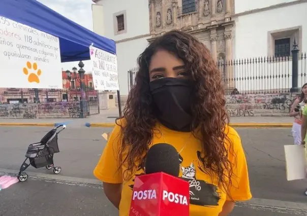 Activistas protestan contra el maltrato animal y cierran avenida en Durango