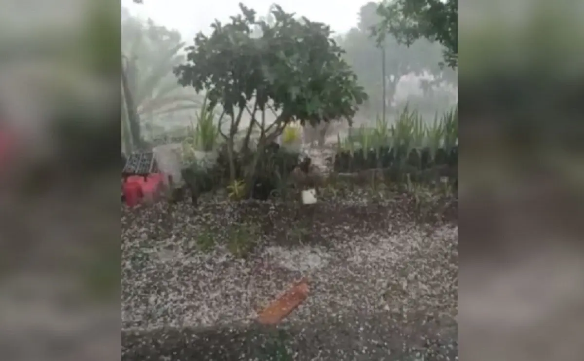 La intensa lluvia y granizada sorprendió a los habitantes de la comunidad Los Aguacates, en el municipio de Galeana, Nuevo León. Foto: Protección Civil de Nuevo León