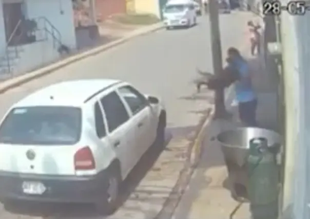 Arrojan a perro a cazuela con aceite hirviendo en Tecamac