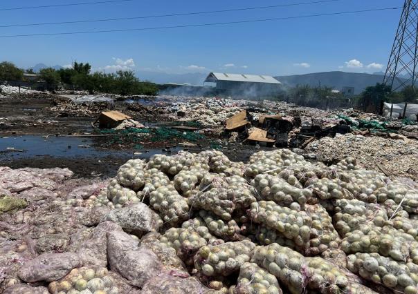 ¡Plátano, chile y cebolla! Tiran 17 toneladas de desechos en Escobedo