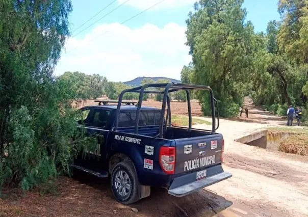 ¡Todavía no lo encuentran! Se una Profepa a búsqueda de gorila en Hidalgo