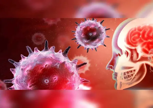 Meningitis: OMS aconseja permanecer en alerta por brotes de Durango y Tamaulipas