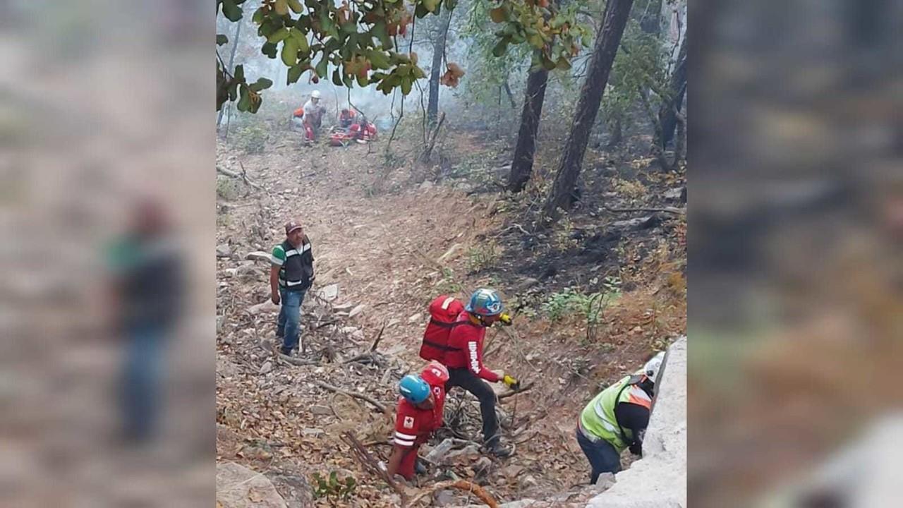 Durango tiene uno de los seis incendios activos en áreas naturales protegidas. Foto: Especial/ POSTA Mx.