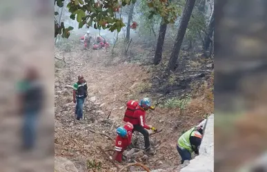 Durango tiene uno de los seis incendios activos en áreas naturales protegidas