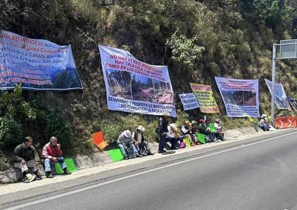 Protestan comuneros por tala clandestina en el marco del Día mundial del medio a