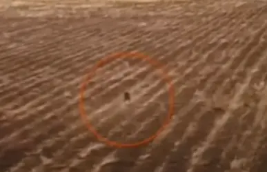 VIDEO: Capta dron extraña criatura encorvada en Bolivia