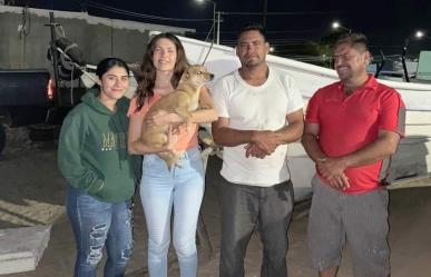 ¡Larga caminata! Perrita salió de casa en Sonora y volvió tres semanas después