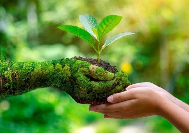 Se celebra el 50 aniversrio del Día Mundial del Medio Ambiente