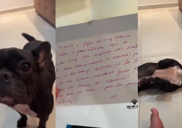 VIDEO: Maggie fue suspendida de la guardería por su mal comportamiento
