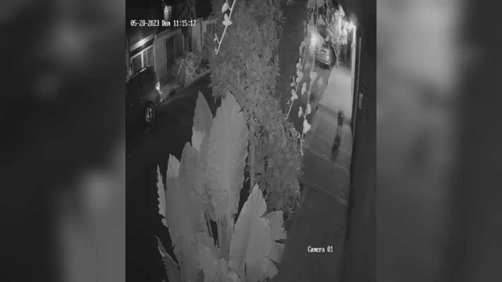 Buscan a hombre que mata a un perrito a balazos y hiere a otro, en Ecatepec