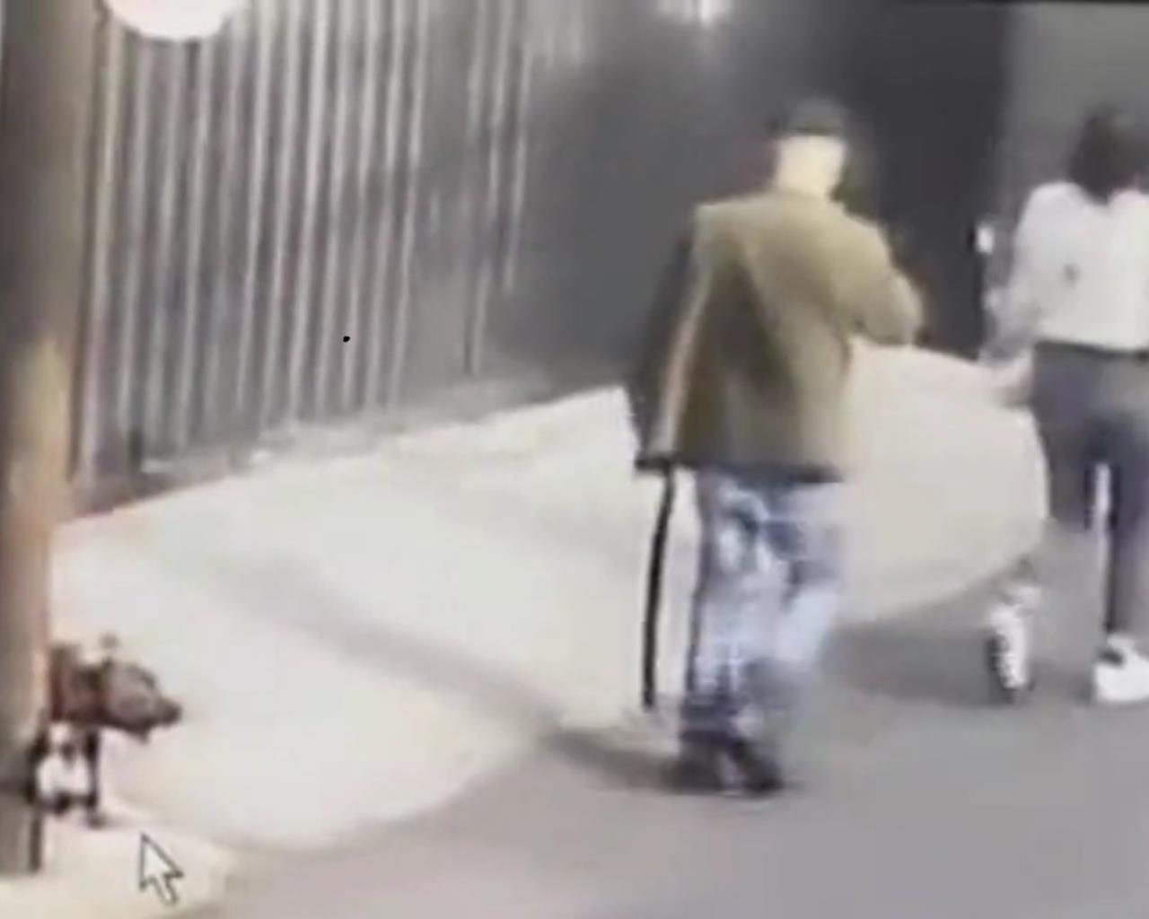 VIDEO: Amarran a perro a un poste y lo abandonan en Tlalpan. Foto: Captura de pantalla