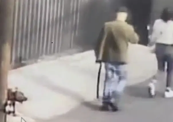 VIDEO: Amarran a perro a un poste y lo abandonan en Tlalpan