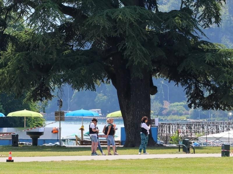 El hombre fue detenido después de intentar huir del parque tras el ataque e incluso atacó a otra persona mayor antes de ser arrestado por la policía. Foto: AFP.