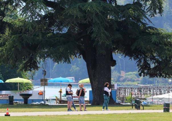 Hiere hombre a cuatro niños tras atacarlos con un cuchillo en Francia