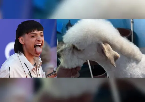 Firulais se pone a la moda con corte bélico de Peso Pluma