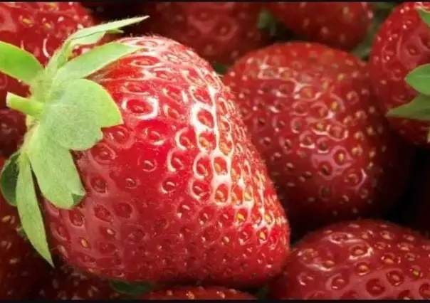 FDA de EU alerta sobre posible brote de hepatitis A vinculado a fresas congeladas de Baja California