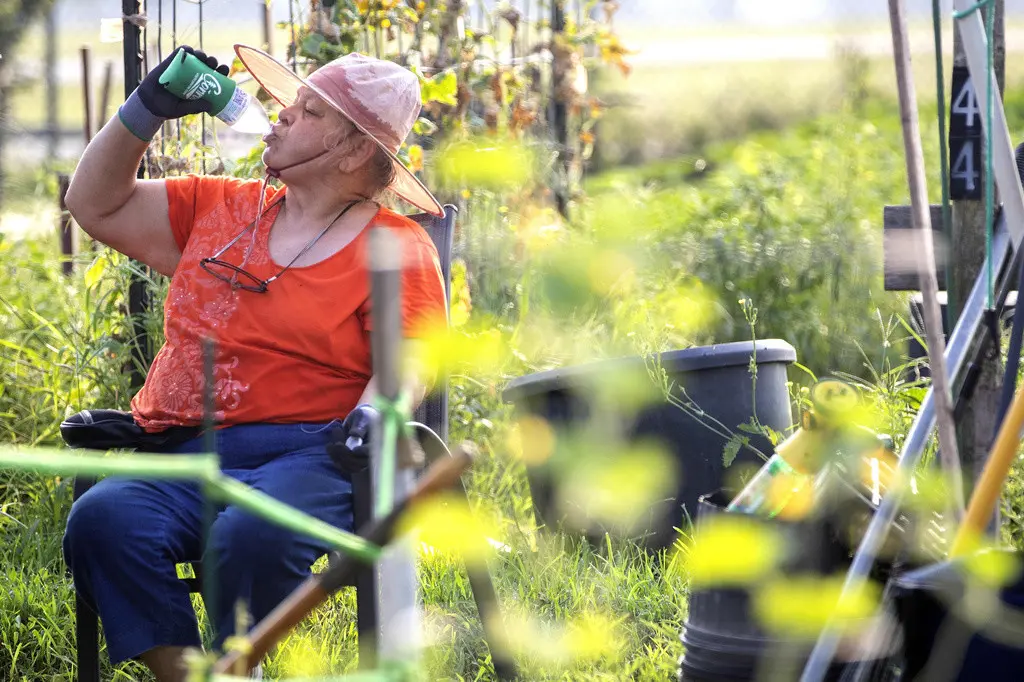 Marti Syring bebe para hidratarse mientras en el jardín para adultos mayores del condado Montgomery el viernes 16 de junio de 2023 en Conroe, Texas. (Jason Fochtman/Houston Chronicle vía AP)