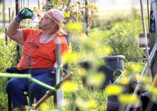 Texas en alerta roja por temperaturas cercanas a los 40 grados