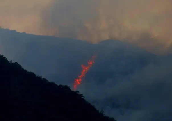 Consume incendio forestal 100 hectáreas en El Pajonal, Santa Catarina