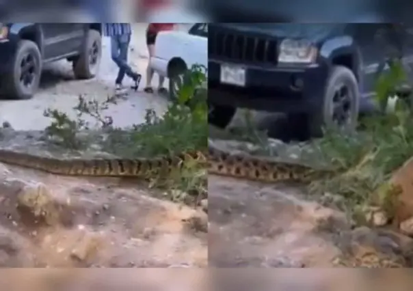 Víbora sorprende a paseantes a orillas del río Ramos en Allende