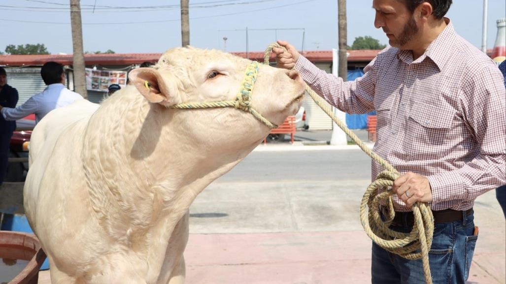 Gobierno de Nuevo León mejora la calidad genética del ganado
