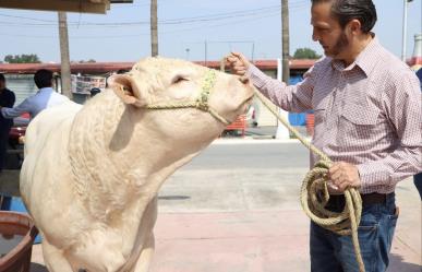 Gobierno de Nuevo León mejora la calidad genética del ganado
