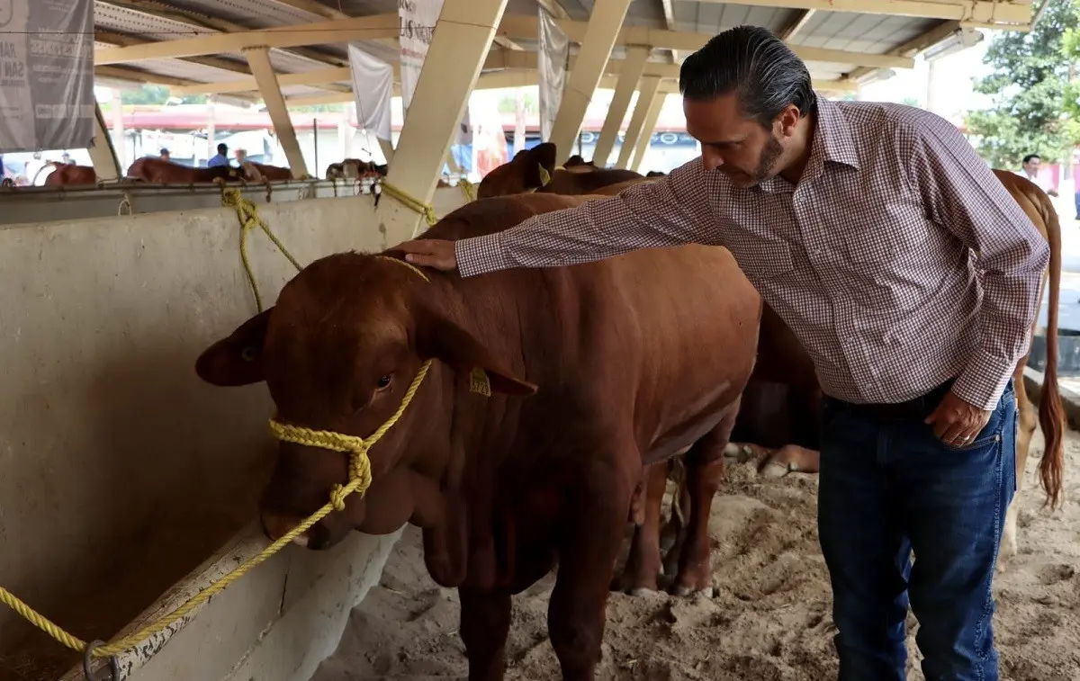 Gobierno de Nuevo León mejora la calidad genética del ganado
