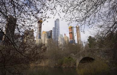 Hombre mata a puñaladas a perro pitbull en Central Park de NY