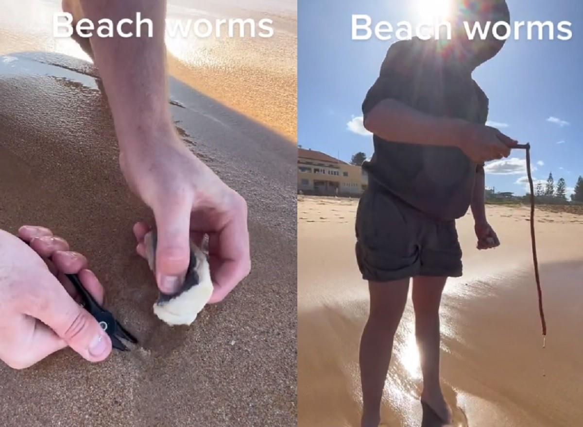 Joven sorprende al sacar de la arena de una playa de Australia a un enorme gusano. Foto: TikTok tightlinezfishing