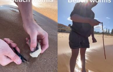 Encuentran enorme gusano en playa de Australia