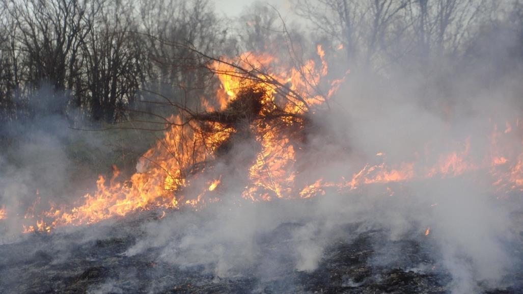 Se mantienen 12 incendios forestales activos en Durango, 5 están controlados