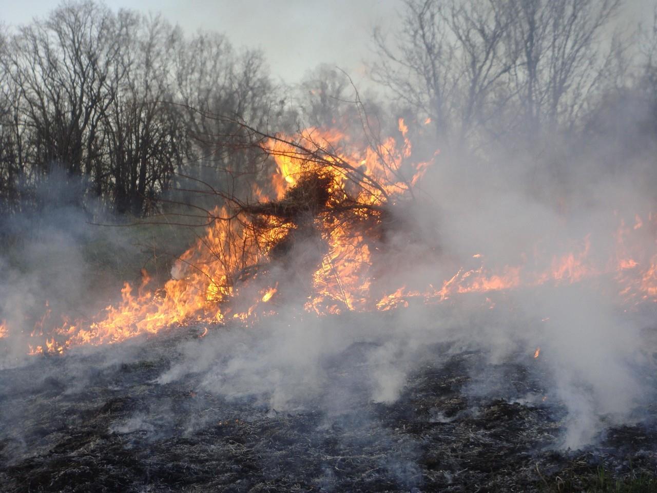 El municipio de El Mezquital es uno de los municipios afectados por incendios forestales: Foto: Cortesía.