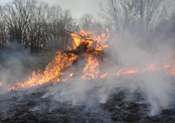 Se mantienen 12 incendios forestales activos en Durango, 5 están controlados