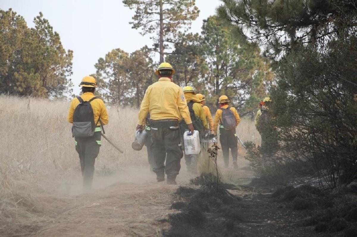 Se registran 19 incendios forestales en Veracruz